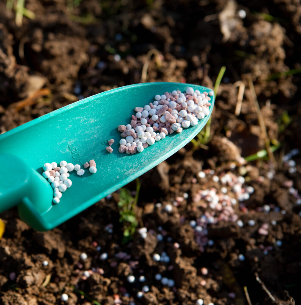 A teal scoop holds multicolored fertilizer granules over rich soil with some granules scattered on the ground, suggesting gardening or agricultural activity.