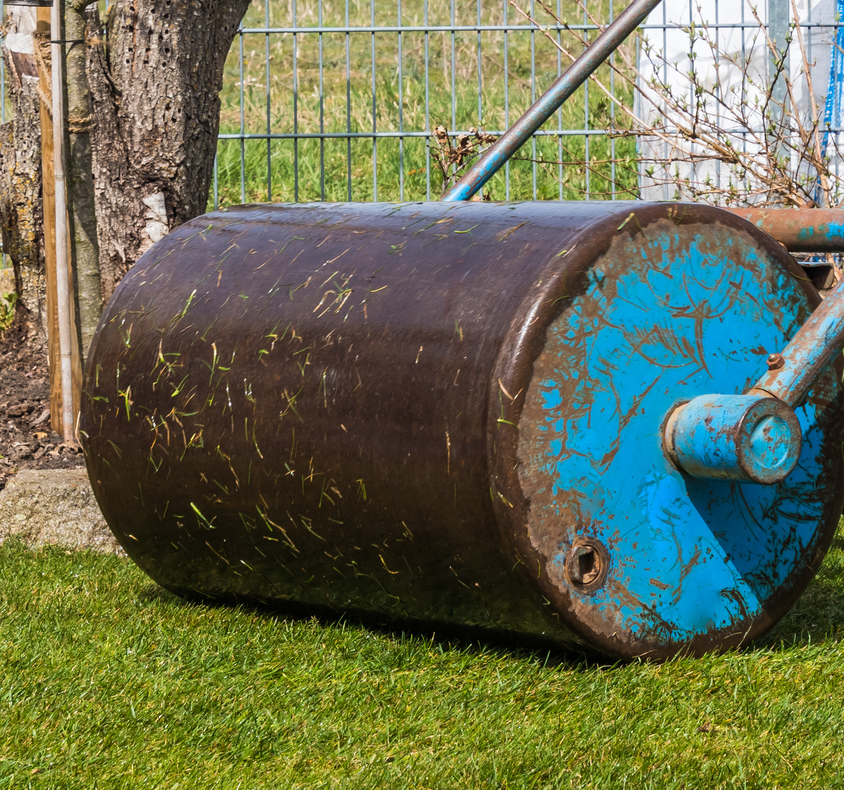 A rusty lawn roller with a blue handle rests on a well-kept green lawn, next to a tree and metal fence in daylight.