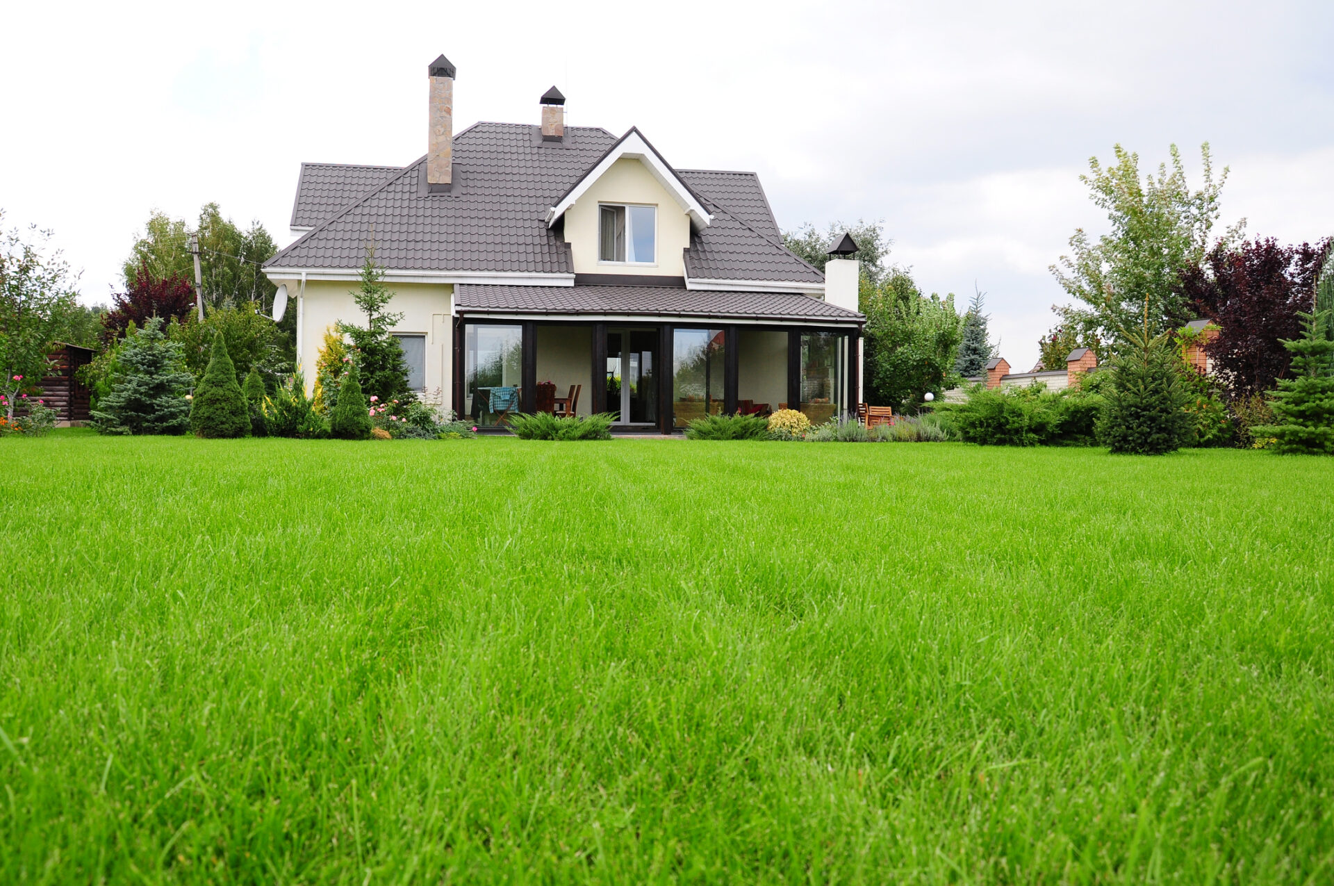 This image shows a modern two-story house with a dark shingled roof, large windows, a green lawn, and an assortment of plants and trees.