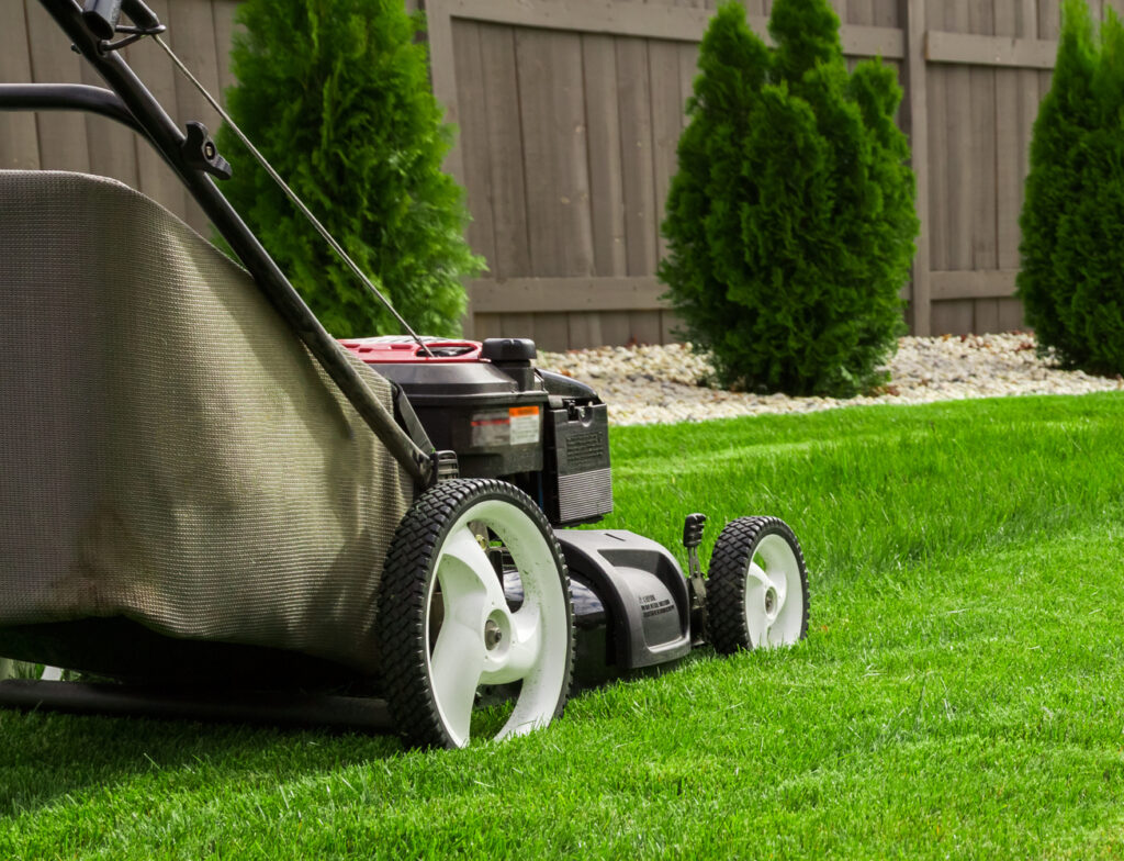 A walk-behind lawn mower is parked on a neatly trimmed lawn with a backdrop of a wooden fence and arborvitae trees. The grass is lush green.