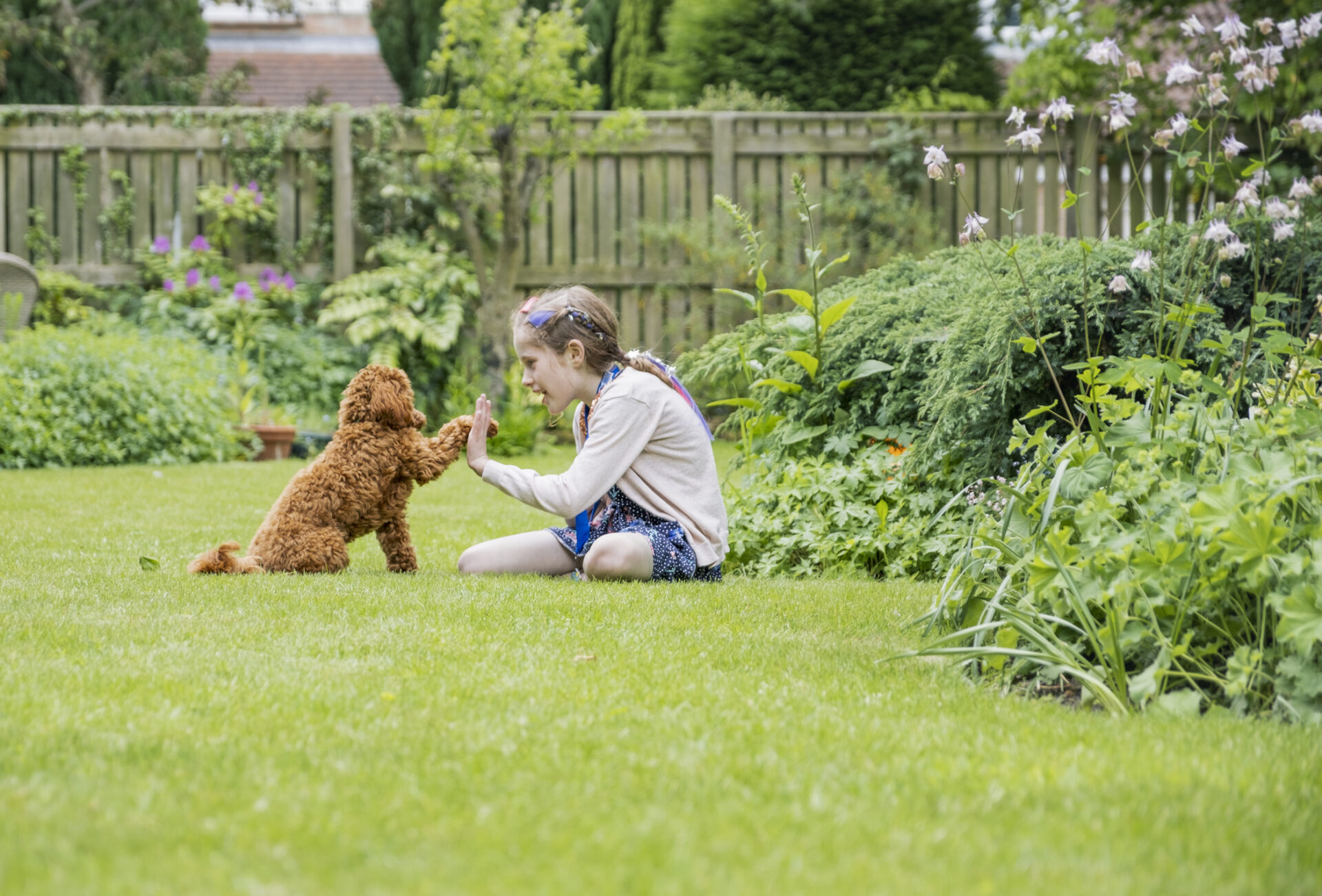 A child is seated on grass facing a brown dog, extending a hand for a high-five. They are in a lush garden surrounded by plants.