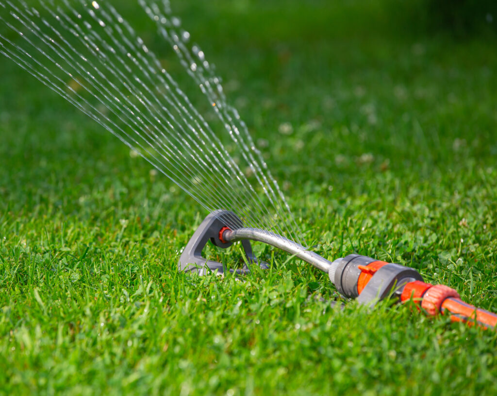 A lawn sprinkler attached to a hose is actively spraying water across vibrant green grass under bright daylight, keeping the lawn hydrated.