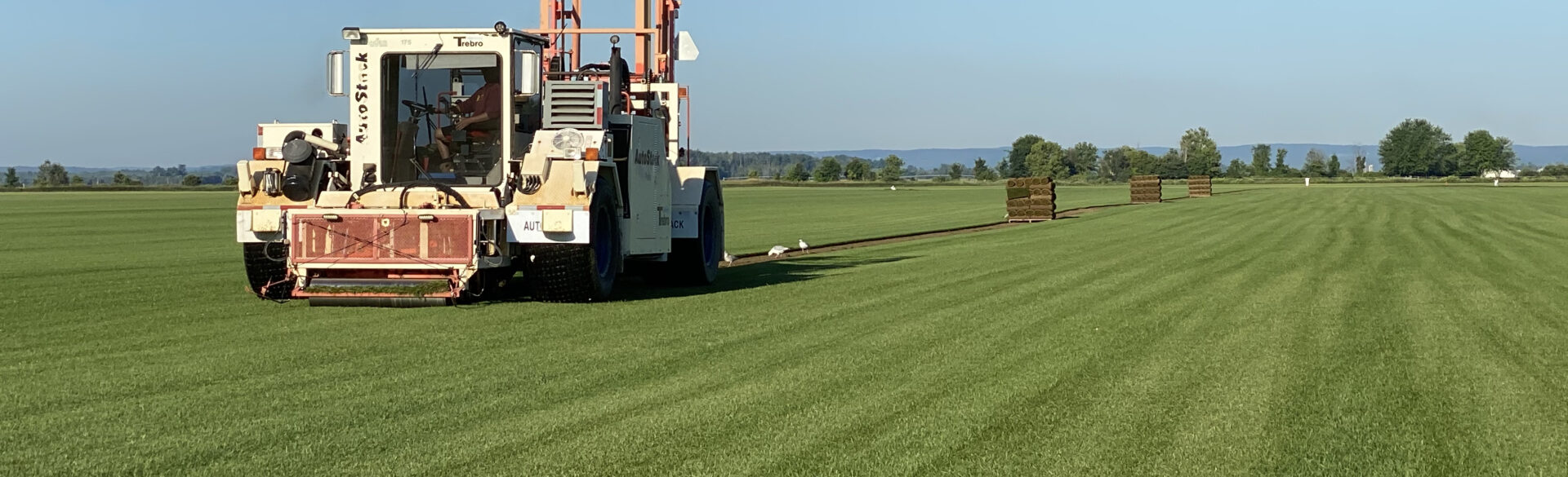 A large turf harvester is operating in a vast, neatly trimmed grass field under a clear blue sky, with stacks of harvested turf in the background.