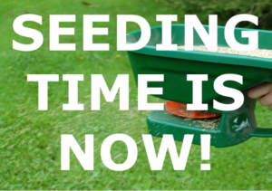 Hand held spreader spreading seed in background with caption "Seeding time is now".