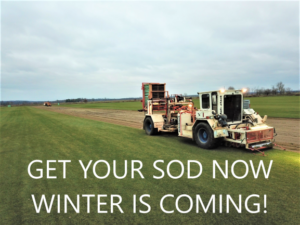 Photo of harvester cutting sod with caption "get your sod now winter is coming!"