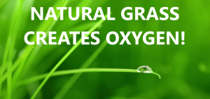 WHY NATURAL GRASS?
