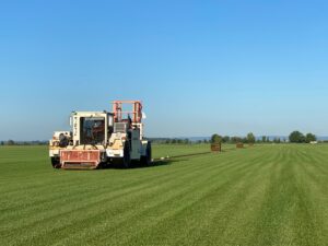 Sunny, clear day with harvester harvesting sod on a nice green field.