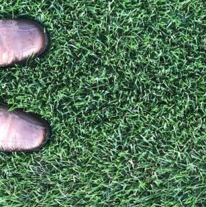 THE VALUE OF REAL GRASS