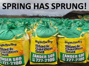 Up close photo of a group of BigYellowBags with caption "Spring has sprung!"