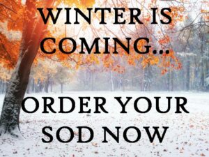 fall color leaves on the trees and snow on the ground with the caption "Winter is coming...order your sod now"