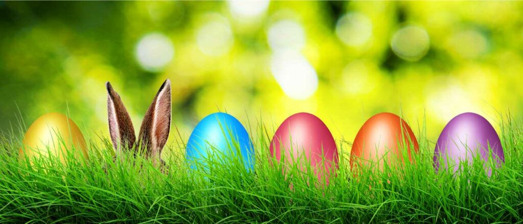 Colored easter eggs laying in the grass + bunny ears to wish everyone a happy easter