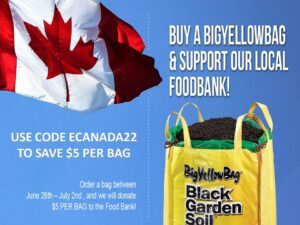 BigYellowBag promotion where $5 from each bag sold willl go to our local food banks. Each customer will save $5 as well by using code ECANADA22. Is a photo of a BigYellowBag and a Canadian flag as this promotion runs during Canada Day.