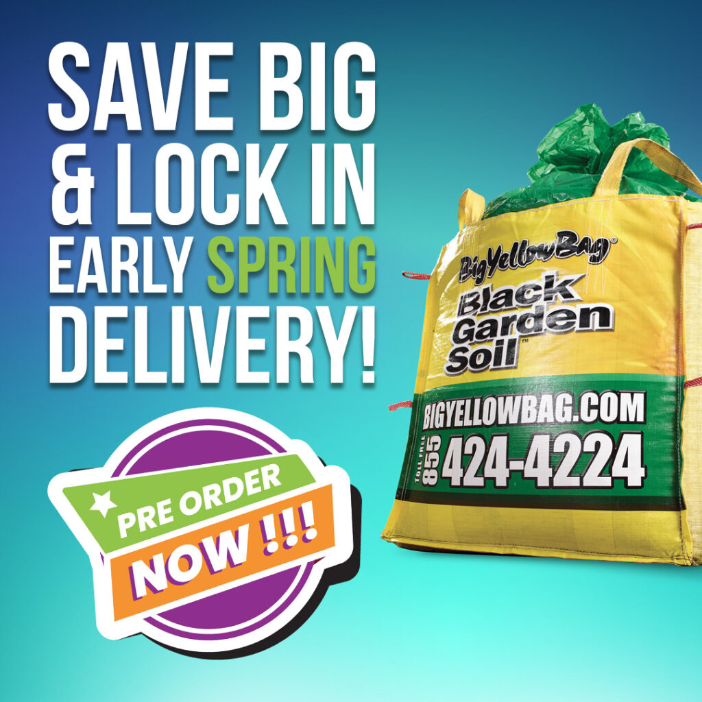 Photo of a BigYellowBag with promotional caption that says "Save big & lock in early Spring Delivery" with clipart that says "pre-order now!!"